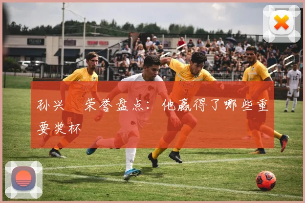 孙兴慜荣誉盘点：他赢得了哪些重要奖杯