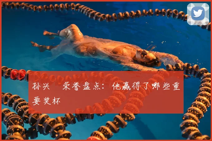 孙兴慜荣誉盘点:他赢得了哪些重要奖杯