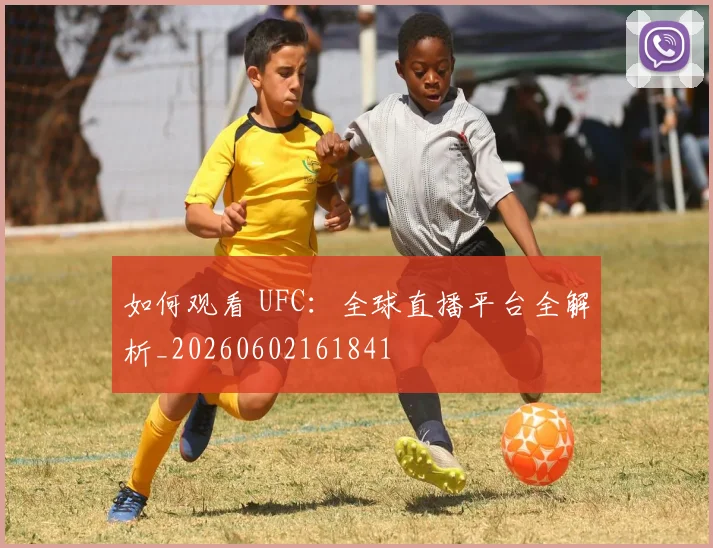 如何观看 UFC：全球直播平台全解析_20260602161841